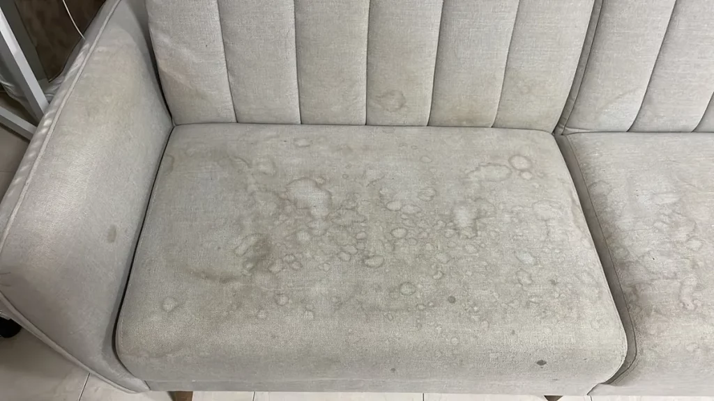 Limpieza sofas a domicilio Barcelona