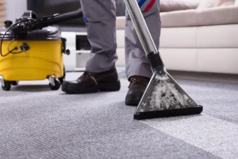 Cómo limpiar alfombras en casa