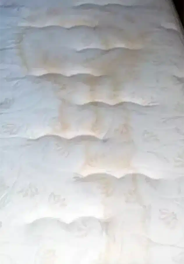 limpieza colchones antes