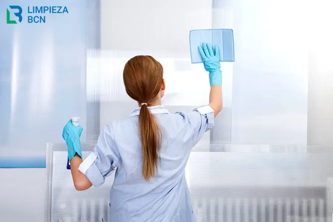 limpieza profesional de casas