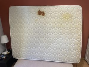Limpieza de colchón a domicilio proceso