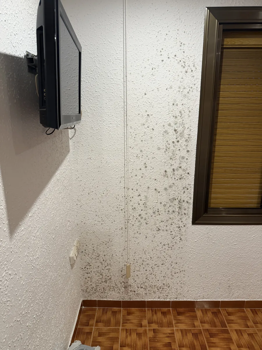 Pared interior con textura gotelé llena de puntos de moho detrás de muebles y aparatos electrónicos