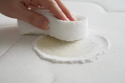 Cómo limpiar el colchón de pipí: Elimina manchas y olor