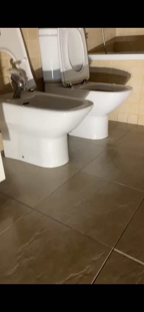 Desinfección profunda de baños y sanitarios