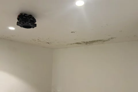 Cómo quitar moho de paredes, techos y terrazas