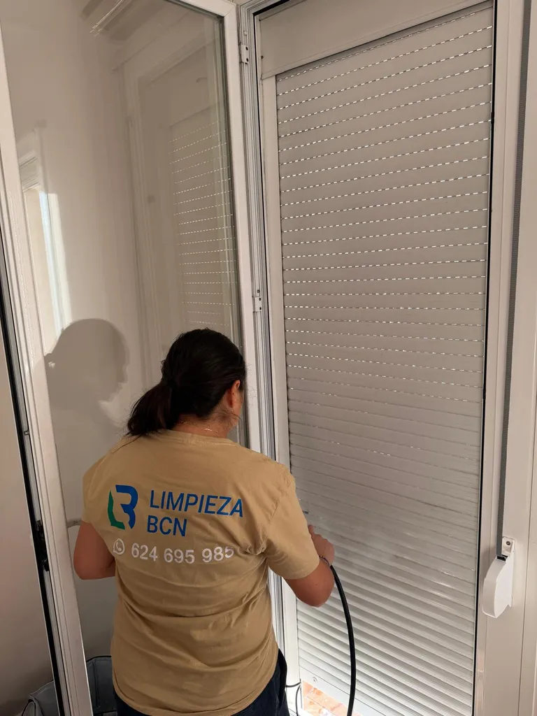 Eliminación de suciedad y moho en persianas con técnica profesional.
