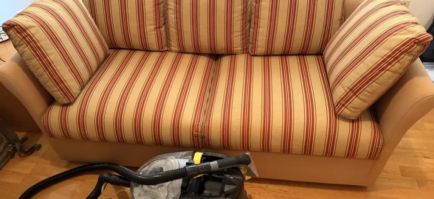 Cómo limpiar un sofá en seco en casa: Productos y métodos sin agua