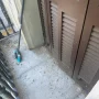 Cómo limpiar caca de paloma del balcón o terraza (Sin Riesgos)