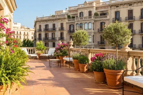 Cómo Eliminar el Verdín del Suelo de la Terraza y Evitar Resbalones