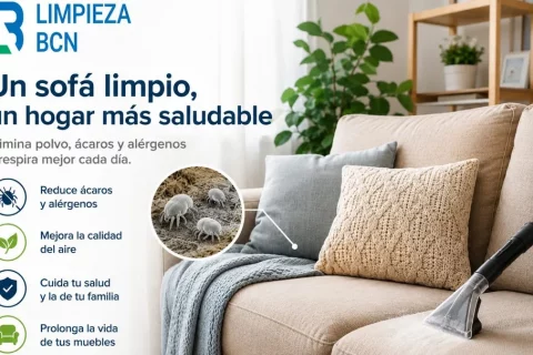 ¿Por qué aparecen las alergias de repente de adulto? El enemigo invisible en tus sofás