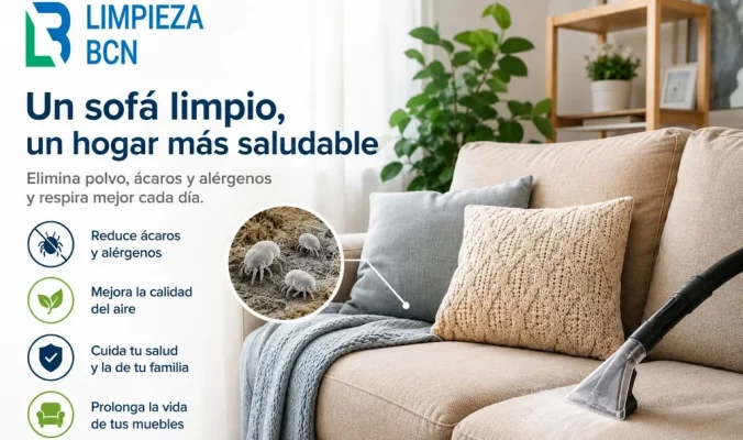 ¿Por qué aparecen las alergias de repente de adulto? El enemigo invisible en tus sofás