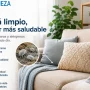 ¿Por qué aparecen las alergias de repente de adulto? El enemigo invisible en tus sofás